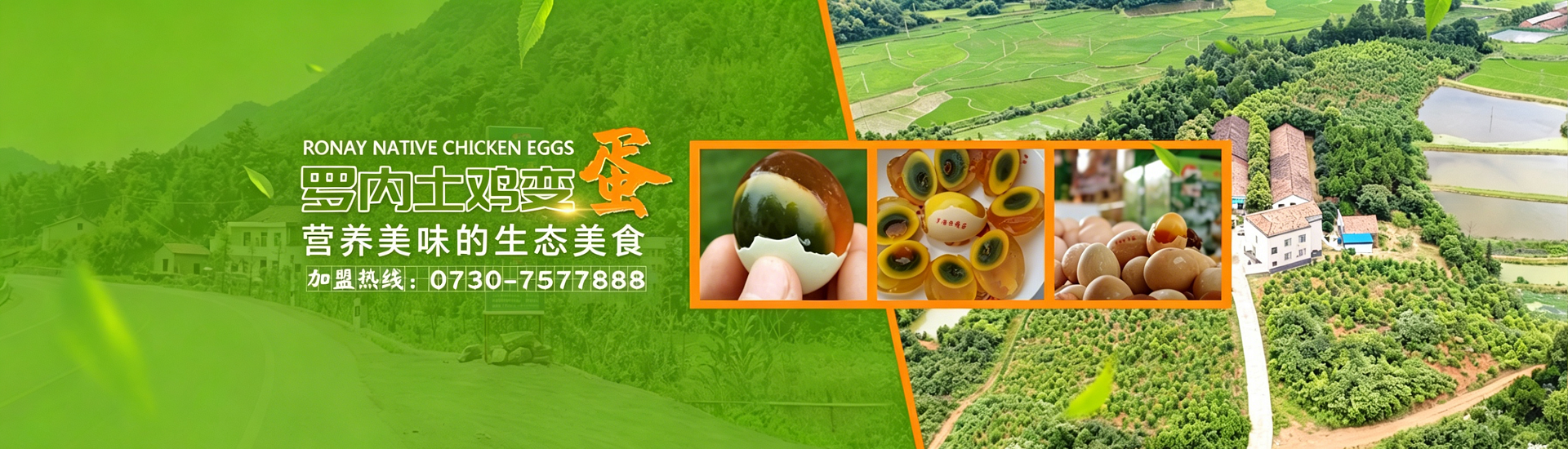 内页banner2